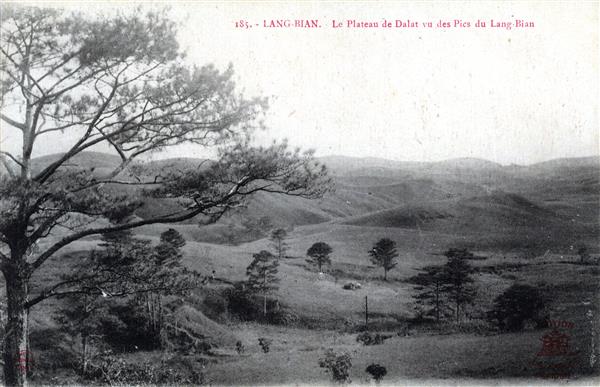 185. - LANG-BIAN. - Le Plateau de Dalat vu des Pics du Lang-Bian