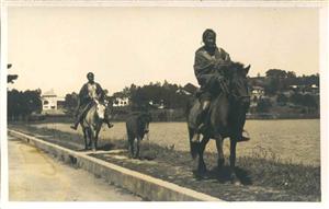 Femmes sur des chevaux - Photographe inconnu