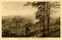 30 ANNAM - DALAT - Une villa au milieu des pins