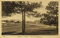 3042 ANNAM - DALAT - Les villas du gouvernement